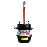 Spring Brake Chamber 3030 Type